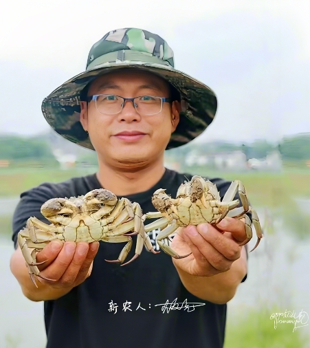 合肥周边去哪吃？正宗安徽大闸蟹