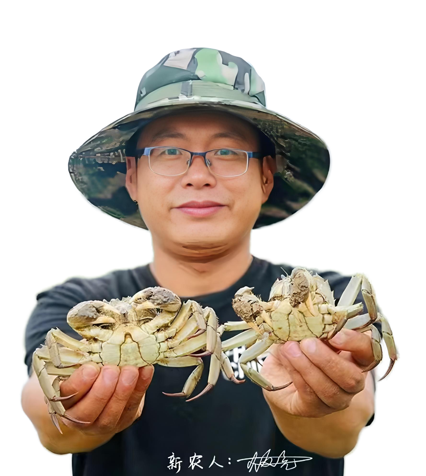 合肥周边秋日去哪玩？来青峰岭大闸蟹