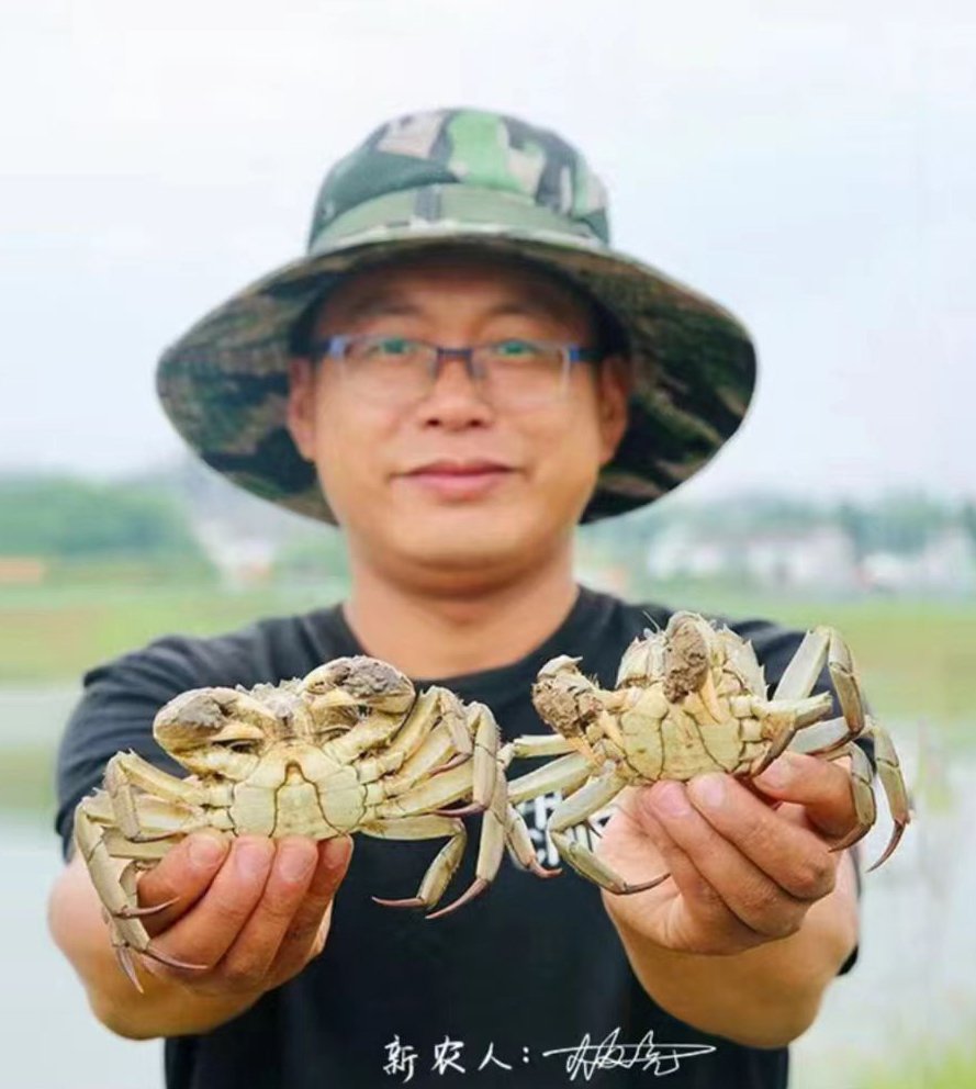 合肥周边大闸蟹农场哪里好？青峰岭谢来了
